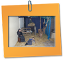 Clik per ingrandire l'immagine